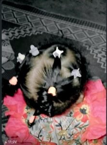 whatsapp image 2025 10 27 at 06.33.05 5150fdf1